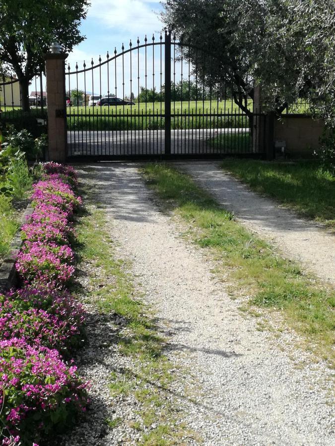 Апартаменты Casa Fiorelli Passaggio di Assisi Экстерьер фото